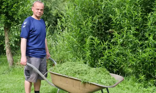 Lernen und arbeiten in der Bioland-Gärtnerei rhizom